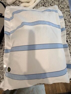 Light Blue Striped Decorative Pillow Cover by